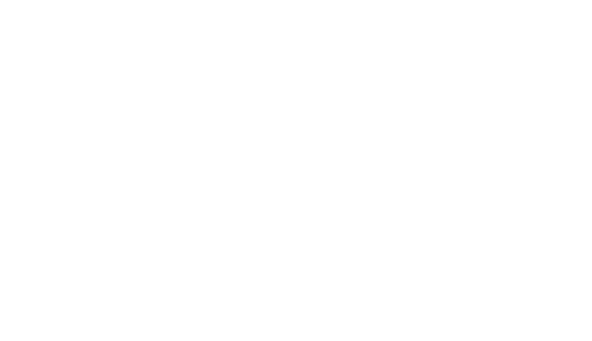 Palmetto Sound Works